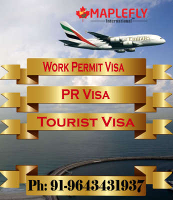 Right Immigration Consultant in Delhi