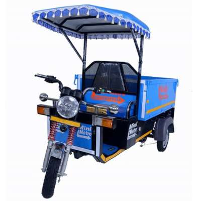 Need of E Rickshaw in India