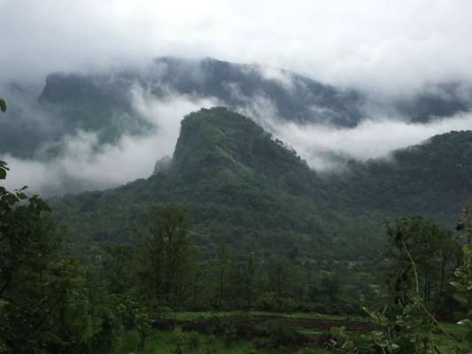 Mountain Heights NA Bungalow Plots