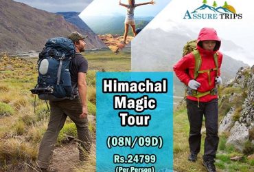 Himachal Honeymoon Tour Package | Assure Trips