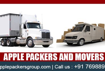 Apple Packers and Movers in Surat