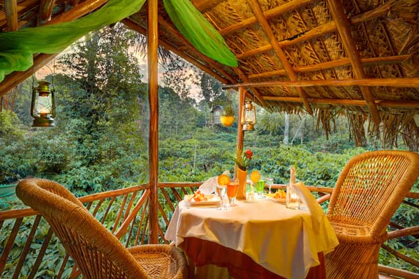 Best Resorts in Coorg Homestay in Coorg Evergreen County