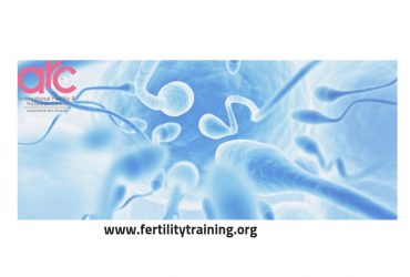 Courses on Reproductive Medicine