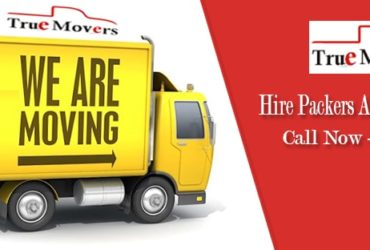 Professional Packers And Movers Bangalore – Truemovers.in