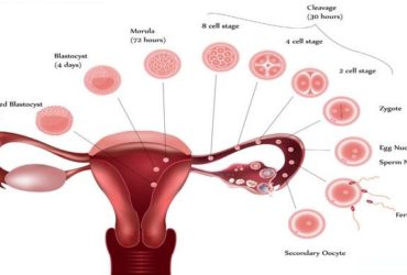 fertility clinic hyderabad