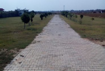 3 Bigha Land for Industry / Ware Housing Available for Sale in Khushkhera.