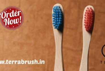 Buy Wooden Toothbrush Online – Terrabrush.in