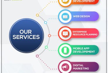 Top 7 Factors To Consider When Choosing A Web Development Company