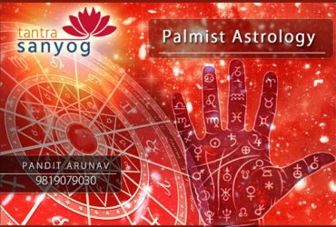 Palm Astrology Mumbai | Best Astrologer in Mumbai