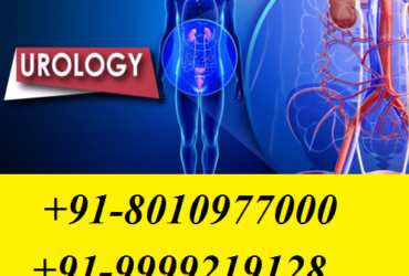 CALL:-[ PH:+91-8010977000 ] | Urinary Tract Infection Treatment in Defence Colony,Delhi