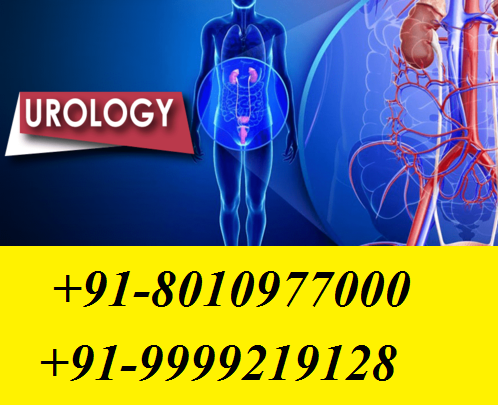 CALL:-[ PH:+91-8010977000 ] | Urinary Tract Infection Treatment in Defence Colony,Delhi