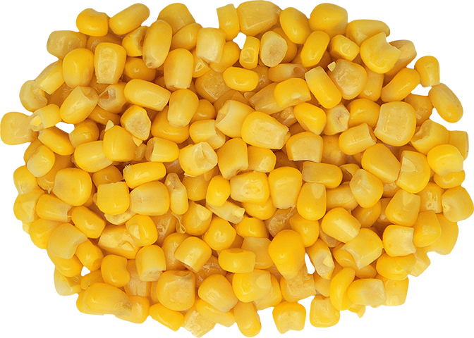 Corn Oil – Get Best Refined Organic Corn Oil in India – Gulaboils