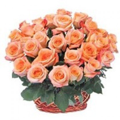 Order Online Flowers To Vizag, Door Delivery Of Flowers Visakhapatnam