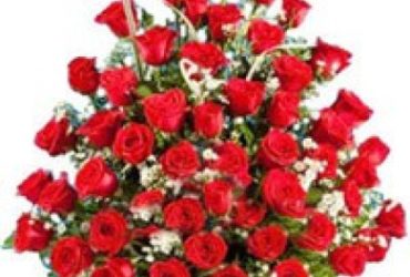 Order Online Flowers To Vizag, Door Delivery Of Flowers Visakhapatnam