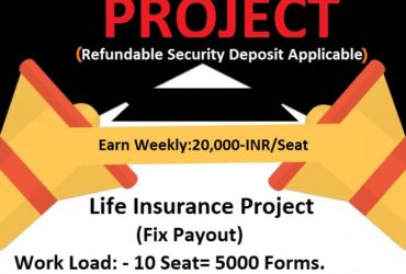 Insurance Form-Filling Project Summary            (Fix Payment)