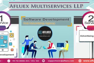 Software Development Company