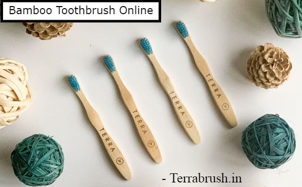 Bamboo toothbrush India – Terrabrush