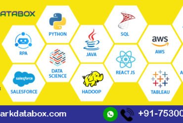 Big Data Hadoop Training Online – Sparkdatabox