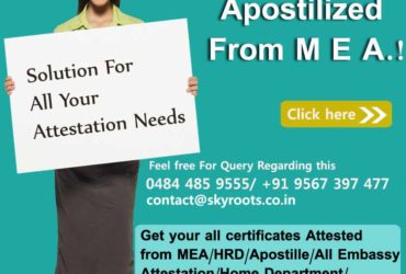 MEA Apostille Attestation