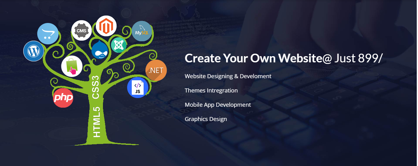 Top Web Designing Company In Delhi » Laser Web Maker