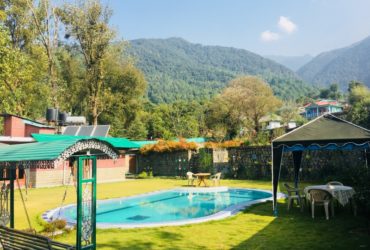 resorts in palampur