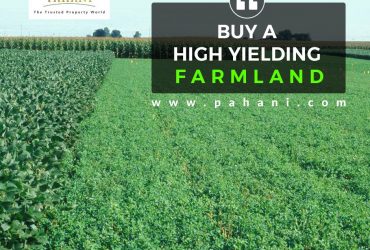 Agriculture Land For Sale In Hyderabad | Agriculture Land For Sale In Vikarabad