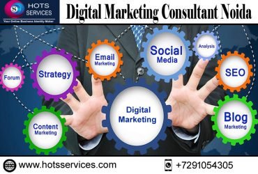 The Role of a Digital Marketing Consultant in Delhi, and Noida