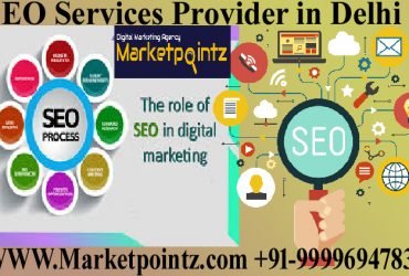 Best SEO Services Provider in Delhi / Marketpointz