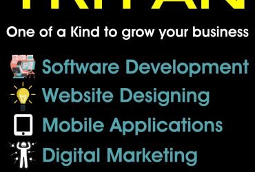 Web Portal Design & Web Development Software Services Company
