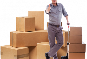 Professional Movers And Packers In Noida