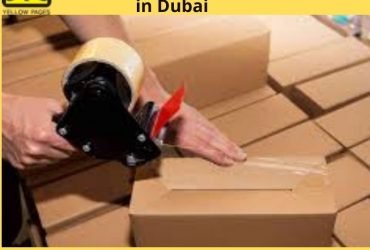 Get Verified List of Packaging Companies in UAE | Best Packing Companies in Dubai