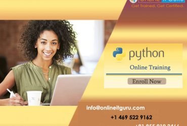 Private: Best Python Online Training in Hyderabad