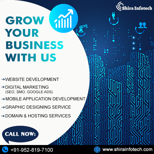 Shira Infotech- Website Development & Designing Company In Delhi NCR, India