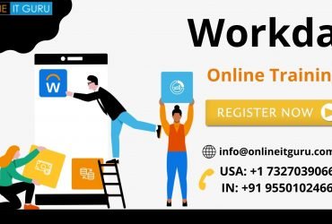 Workday online training in india | workday training