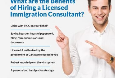 Immigration Consultants in Bangalore | Best Immigration Consultants in Bangalore | novusimmigration. (Bangalore)