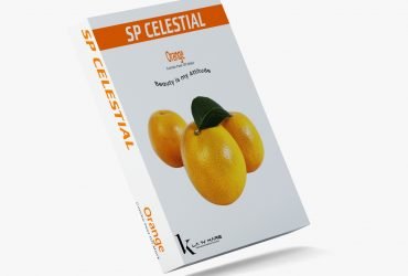 Vitamin c peel off mask