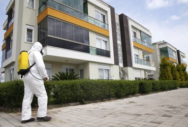 Pest Control Company in Kanata Ottawa