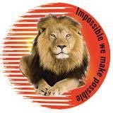 Lion Packers And Movers