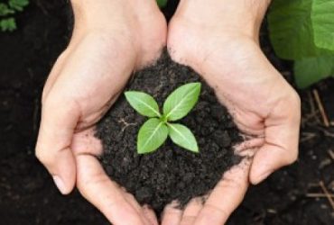 Vermicompost in Tamilnadu 