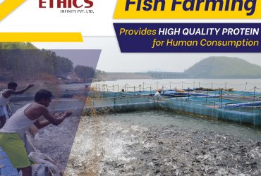 Aquaculture Fish Farming Company In India