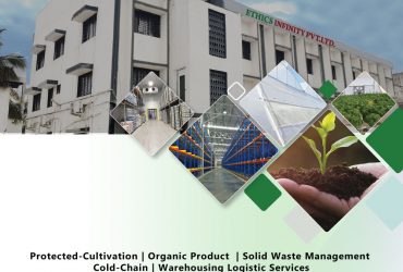 Low-cost Greenhouse Company | Ethics Infinity Pvt. Ltd.