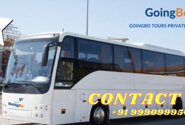 Check Bus Ticket Timetables from GoingBo