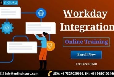 Workday integration online training | workday integration course
