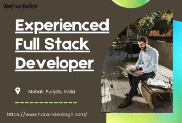Freelance Full Stack Developer India