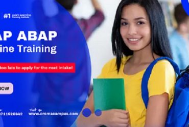 SAP ABAP Training in Delhi