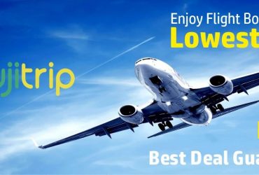 Best Travel Agency in Noida Offer Low Rate Domestic Flight