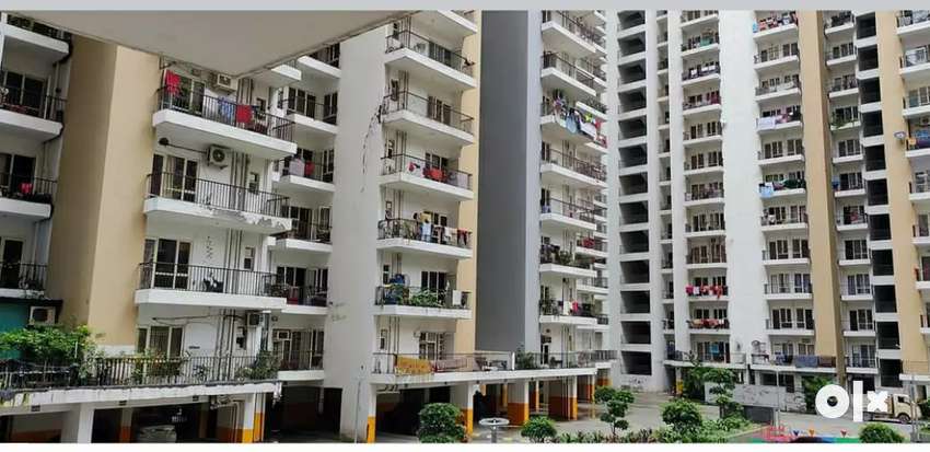 Luxury Apartment On Rent Noida