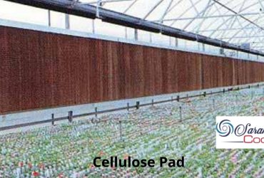 Cellulose Pad Manufacturers – Sarahcooling