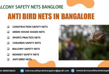 Anti Bird Nets in Bangalore