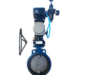 Top Butterfly Valve Manufacturers, Suppliers and Exporters in India